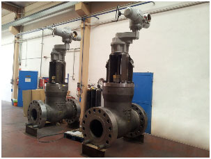 Globe Valves